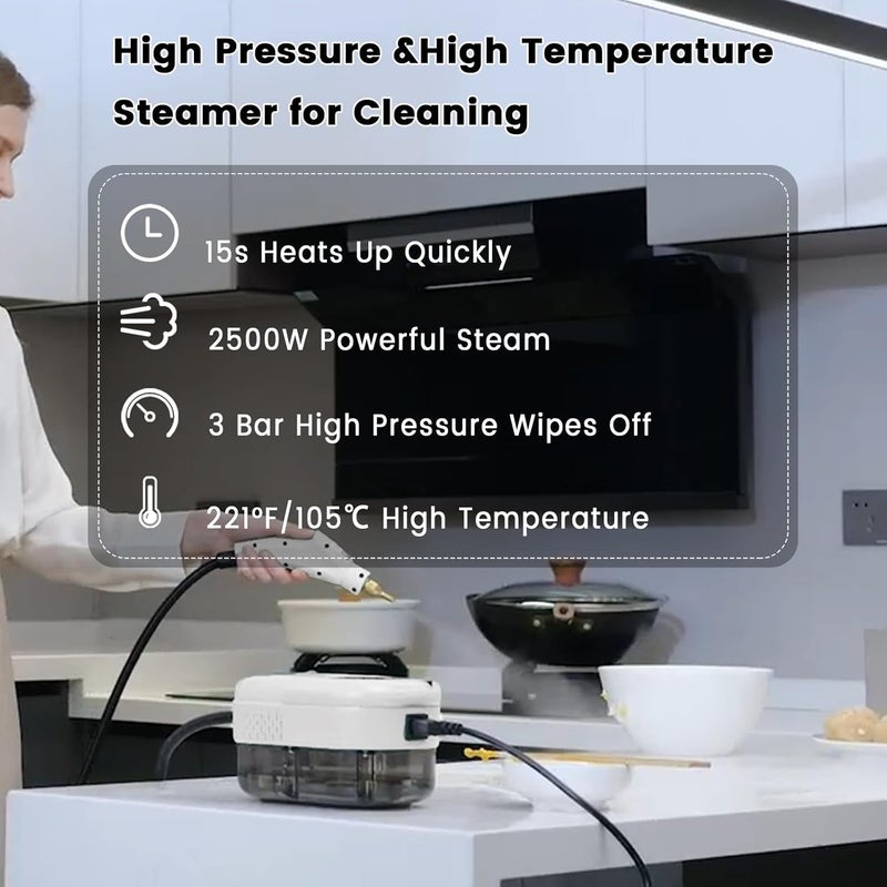 AULANK 2500W Handheld Steam Cleaner,Portable Car Steamer For Auto Detailing,High-Temperature and Pressure Steam Cleaner For Home, Steam Cleaning Machine for Furniture,Kitchen,Grout,Floor,Tile (6-White) - Image 2